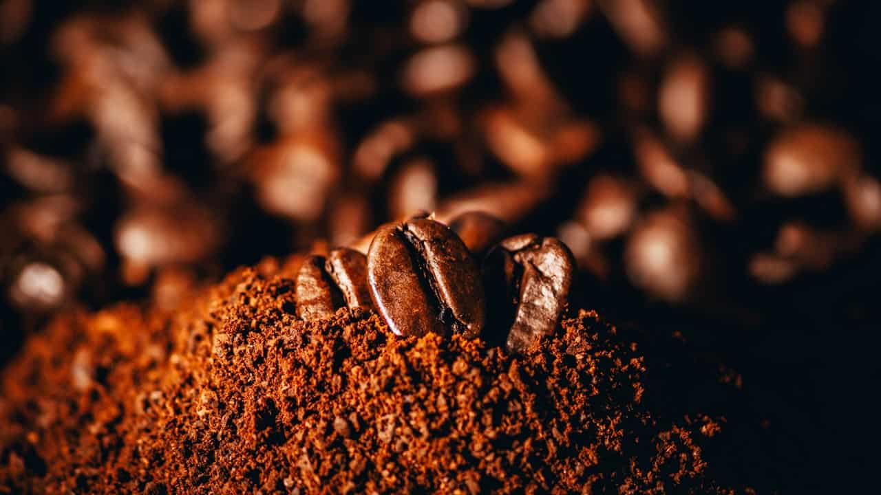 Understanding the Meaning of Seasonal in Coffee Terms 1